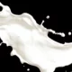 Milk icon image